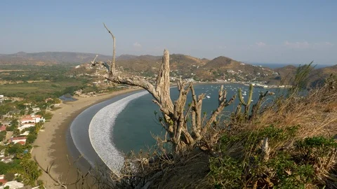 Old tree stump San Juan del Sur harbor-Nicaragua Video stock 107719358