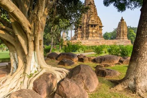 Old tree in the temple complex of Khajuraho Stock Photos