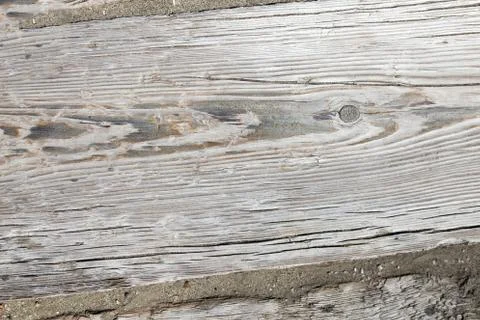 Old tree texture Stock Photos