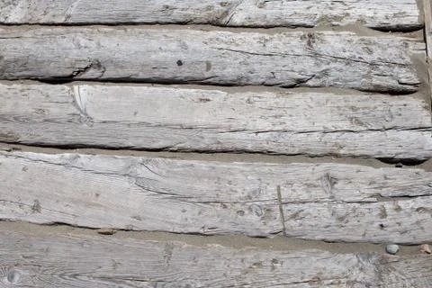 Old tree texture on sand Foto stock