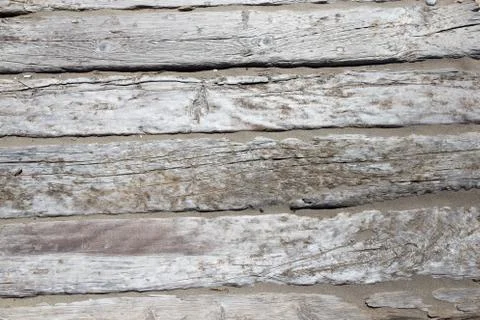 Old tree texture on sand Stock Photos