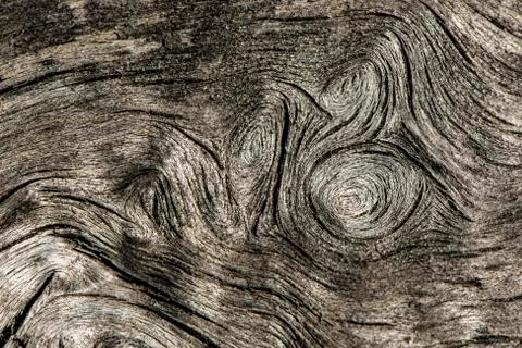 Old tree trunk, abstract background Stock Photos
