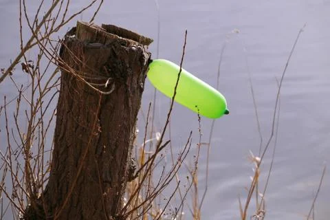 Old tree trunk with green ballon Stock Photos