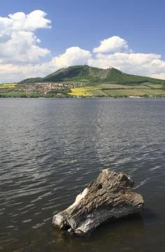 Old Tree Trunk Stock Photos