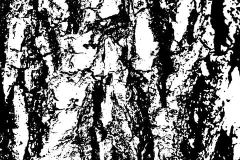 Old tree trunk vector texture close-up, black and white textured effect backg Stock Illustration