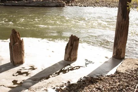 Old tree trunks in the river water white foam Stock Photos
