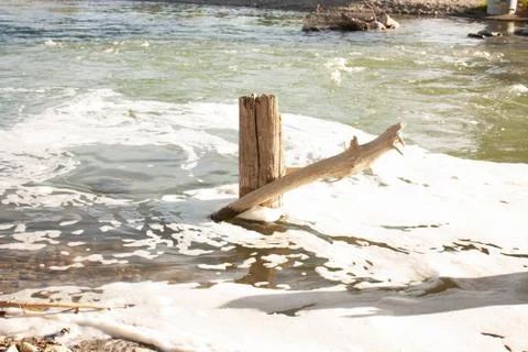 Old tree trunks in the river water white foam Stock Photos
