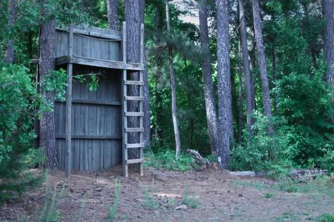 The Old Treehouse Stock Photos