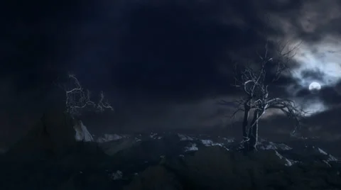 Old trees and moon at night HD 30fps Stock Footage 29157992