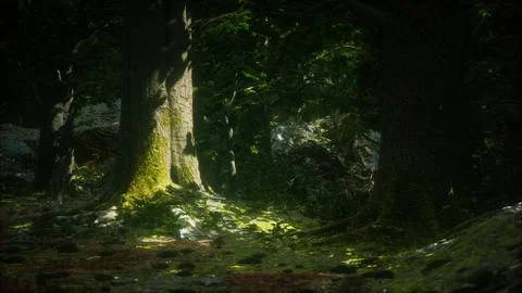 Old trees with lichen and moss in green forest Stock Illustration