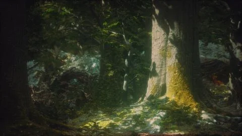 Old trees with lichen and moss in green forest Stock Illustration