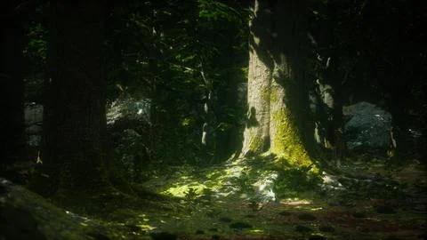Old trees with lichen and moss in green forest Stock Illustration