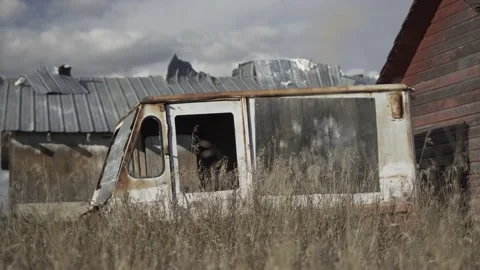 Old Truck in Backyard Video stock 141163755
