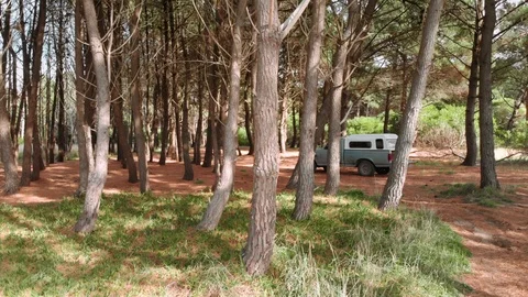 Old truck inside forest Stock Footage 116668664
