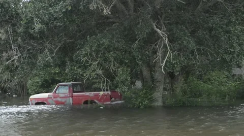 Old truck under an oak tree after flood in southern Louisiana Stock Footage 66883453