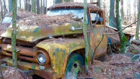 Old Truck in Woods Stock Photos