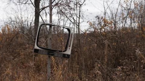 An old TV frame hangs on a tree in the autumn forest. Environmental pollution Stock Photos