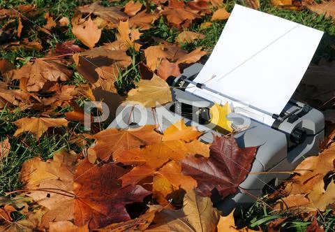 Old typewriter and fallen maple leaves Stock Photos