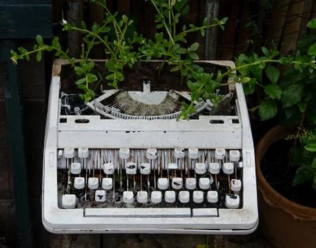 Old typewriter with flower Stock Photos