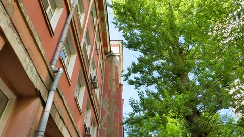 Old typical building and green tree at sunny day in Kyiv, Ukraine - 4K, Audio Stock Footage 181814591