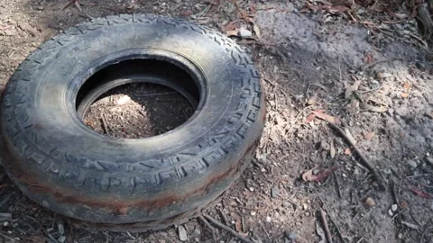 Old tyre in the bush. Stock Footage 218230080