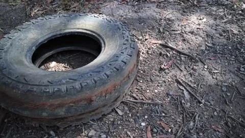 Old tyre in the bush Stock Footage 218230082