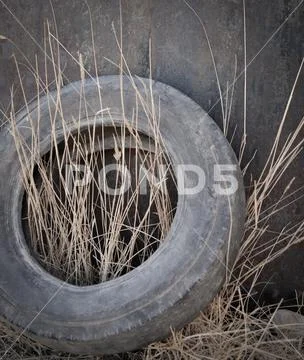 An old upright tire Stock Photos