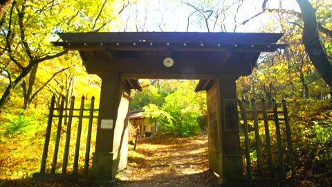 Old Usui Pass Viewing Platform Entrance Gate and Sunbeams Through the Trees Stockbeeldmateriaal 330693559