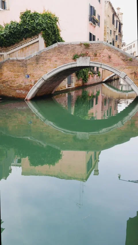 Old venetian architecture on the canal with bridge in Venice, Italy Stock Footage 298181453