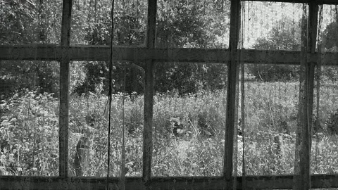 Old veranda window Stock Footage 138494054