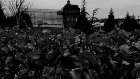 An old Victorian Building Stock Footage 171798700