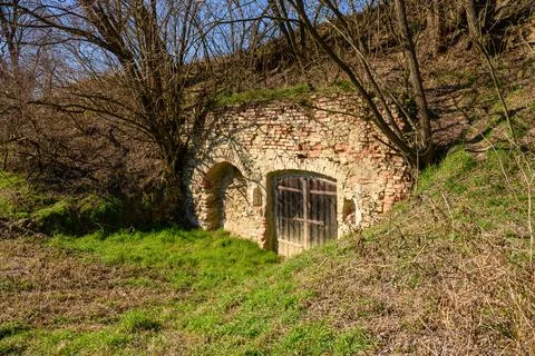 Old Vine Cellar II Stock Photos