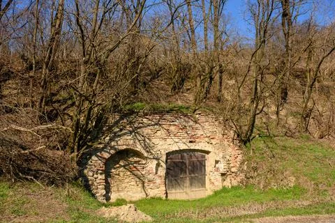 Old Vine Cellar V Stock Photos