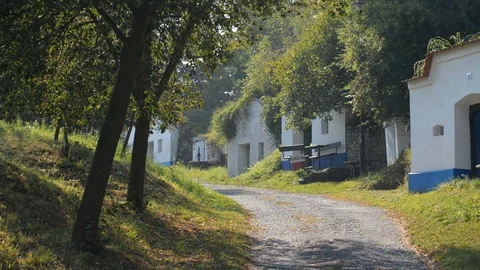 Old vine cellars in the Petrov, Czech republic. Stock Footage 70629966