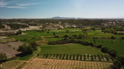 The old vineyard in the rising sun. Video stock 273258633