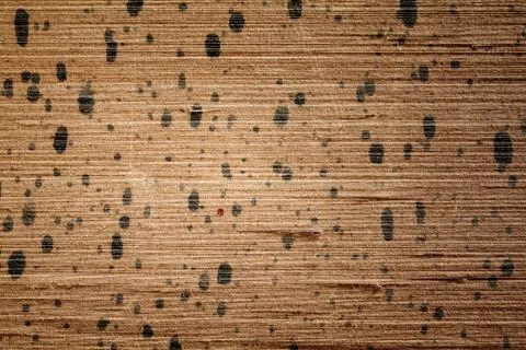 Old Vintage Side Dictionary Texture Stock Photos