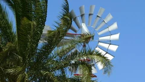 Old vintage style windmill rotating between palm branches a sunny day. Video stock 108508281