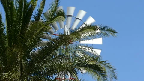 Old vintage style windmill rotating between palm branches a sunny day. Stock Footage 108508416