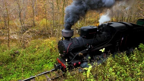 Old vintage train moving through the forest Stock Footage 124076169