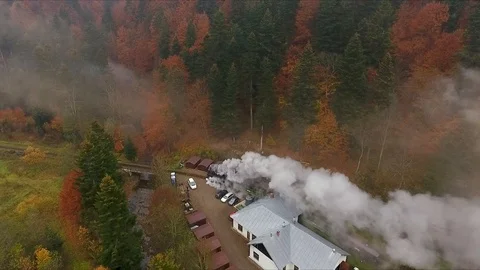 Old vintage train moving through the forest valley in mountains, drone shot Stock Footage 124076778
