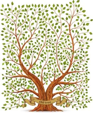 Old vintage tree Stock Illustration