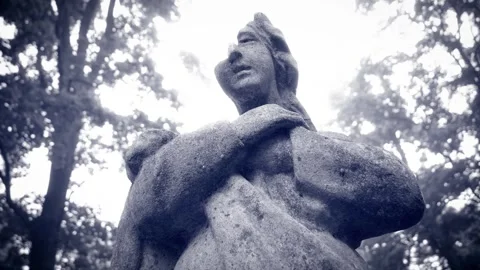 An old  virgin mary statue at bernardine cemetery  –sliding camera movement Stock Footage 346187892