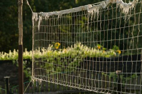 An old volleyball net on a country plot Stock Photos