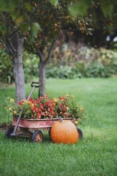 An old Wagon with Fall Flowers and Pumpkin. Stock Photos