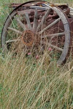 Old wagon wheel Fotos Stock