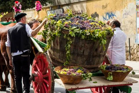 Old wagon at work Stock Photos