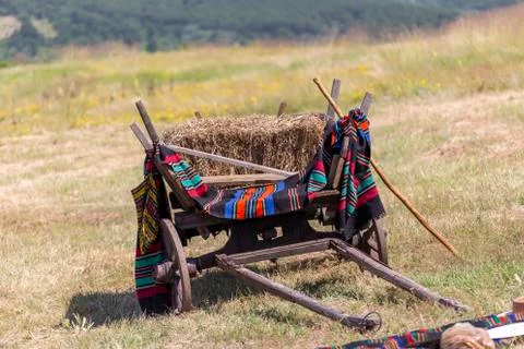 Old wagoon in rural setting Stock Photos
