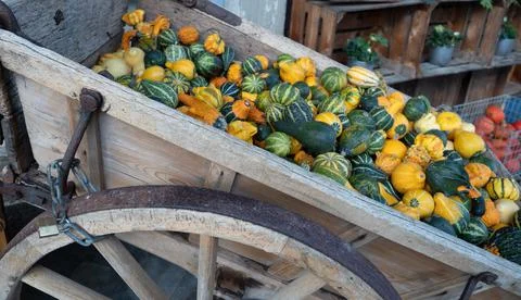 An old wain full of decorative pumpkins Stock Photos