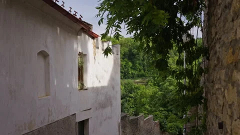 Old Wall and Foliage Overlooking Forested Valley Stock Footage 313882422