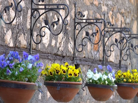 Old wall and staircase decorated with colourful flowerpots. Stock Footage 76585860